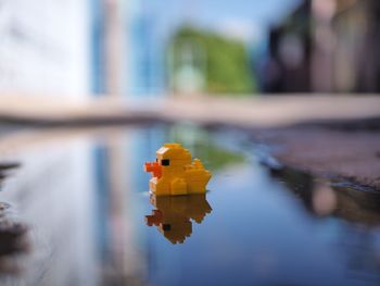 Close-up of yellow toy on river against buildings
