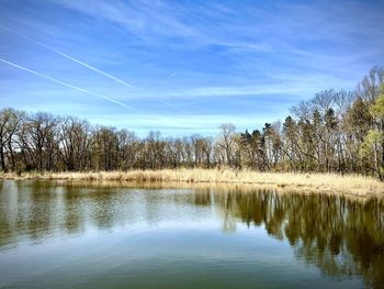 reflection