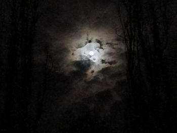 Low angle view of silhouette birds against sky at night