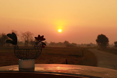 Silhouette plant on table against sky during sunset