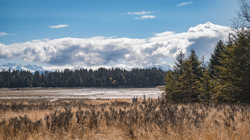 wilderness