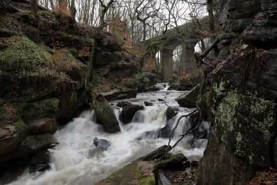 Scenic view of waterfall in forest