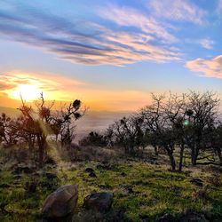 Scenic view of field against sky during sunset