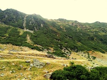 Scenic view of landscape against clear sky