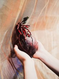 High angle view of hand holding ice cream