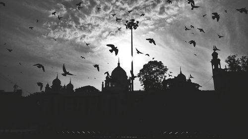 Low angle view of silhouette birds flying against sky