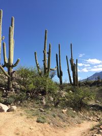 Scenic view of landscape against blue sky