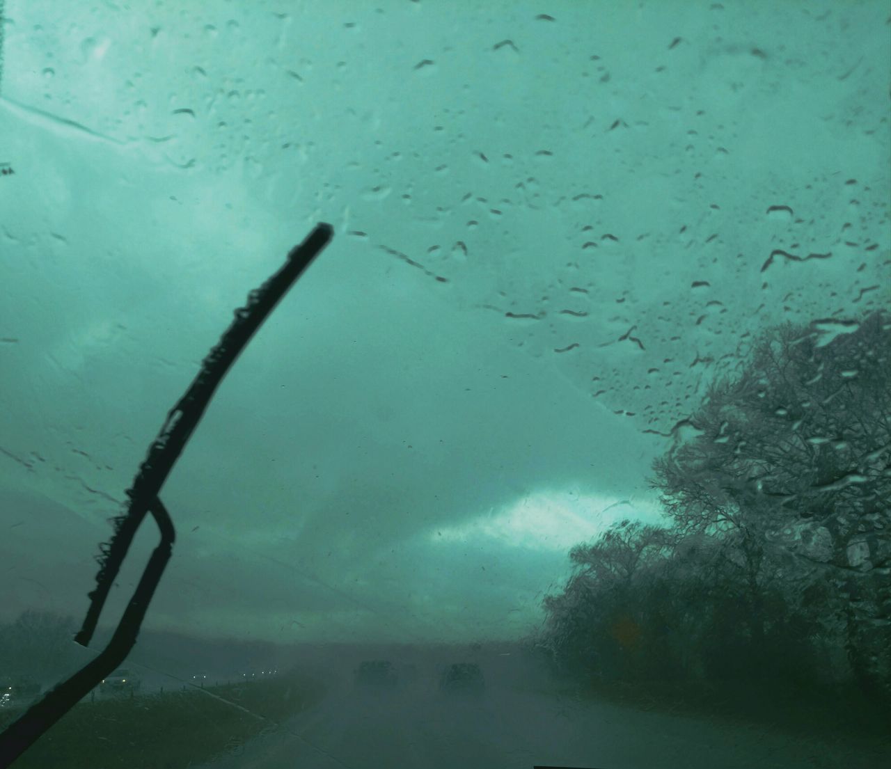 water, underwater, no people, nature, undersea, outdoors, close-up, day