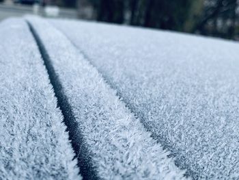 Close-up of snow covered land