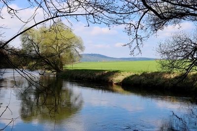 Reflection of trees in water against sky