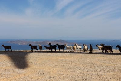 Group of people on desert against sky