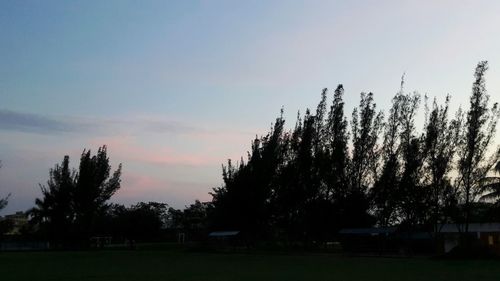Silhouette trees against sky