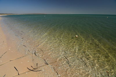 Scenic view of sea against clear sky