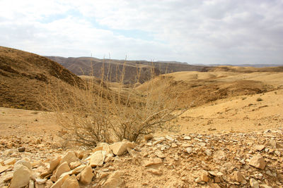 Scenic view of desert against sky