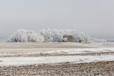 Abandoned  farmhouse with frosty trees.