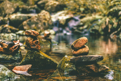 Close-up of stones on rock by lake