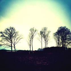 Bare trees on field against sky