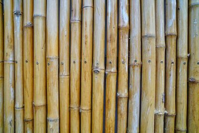 Full frame shot of bamboo fence