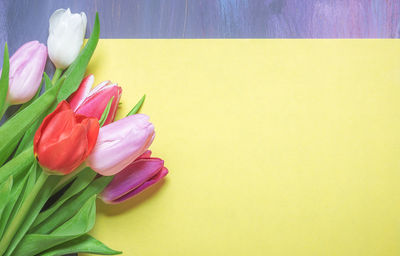 High angle view of tulips and paper on table