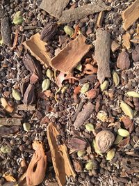 High angle view of dry leaves on wood in field