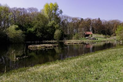 Scenic view of lake by trees against sky