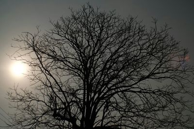 Low angle view of bare trees against sky at sunset