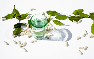 Close-up of green leaves on table against white background