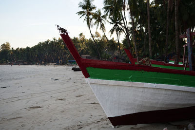 Scenic view of beach against trees