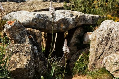 Close-up of stone wall