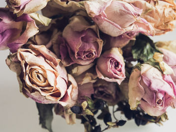 Close-up of wilted roses