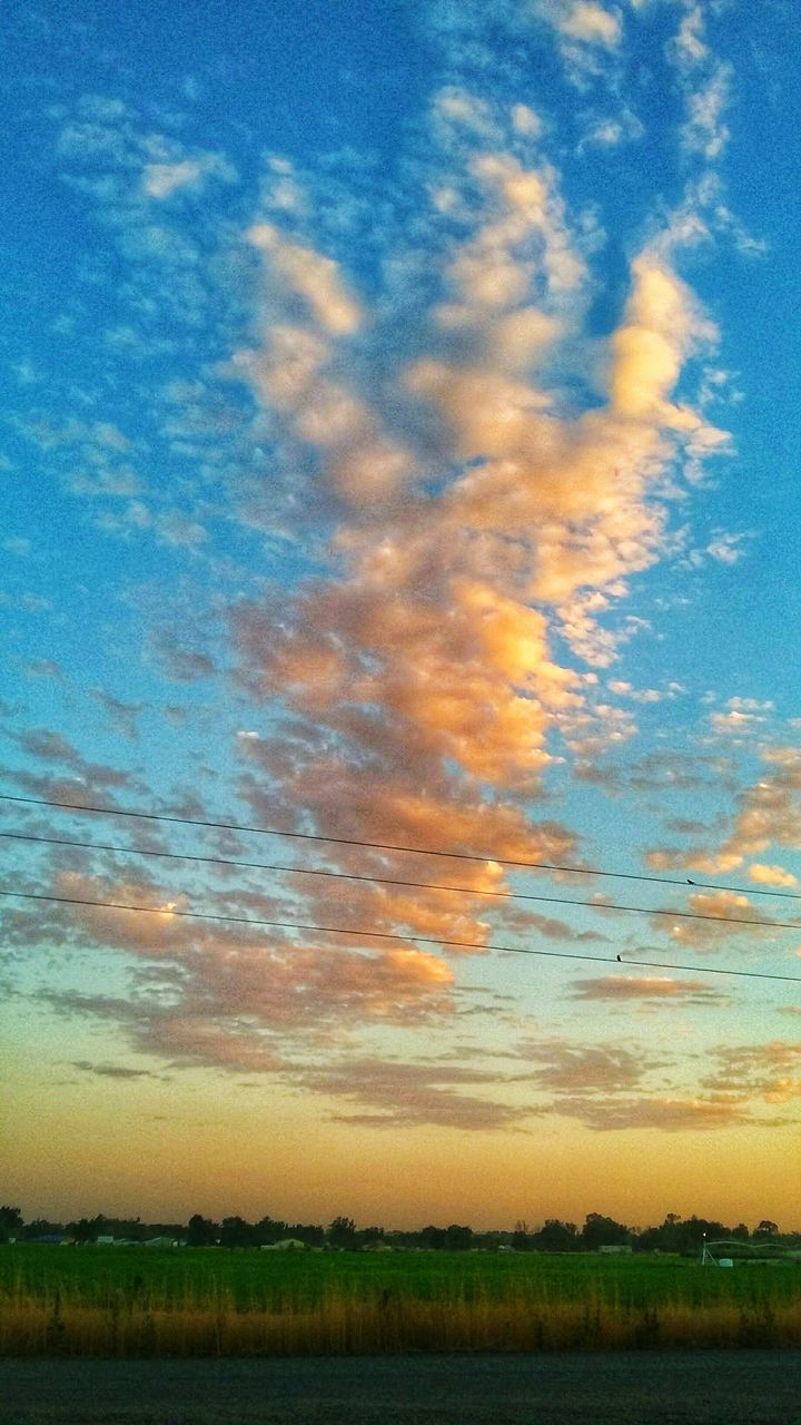 sky, tranquil scene, tranquility, scenics, beauty in nature, field, nature, landscape, agriculture, cloud - sky, sunset, idyllic, rural scene, no people, outdoors, growth, blue, day, tree