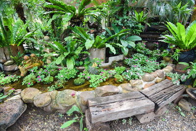 High angle view of potted plants in garden