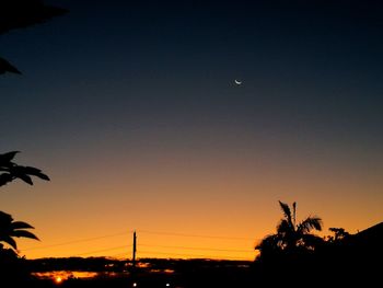 Silhouette trees against sky at night