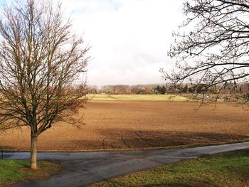 Bare tree on field by road against sky