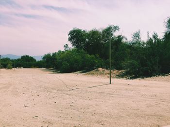 Trees on field against sky