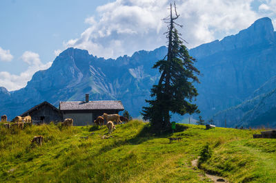 Scenic view of landscape and mountains against sky