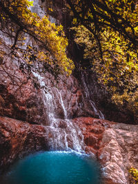 Scenic view of waterfall in forest