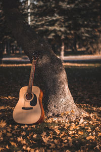 Close-up of guitar on field