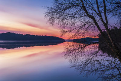 Sunrise at still lake with tree on side