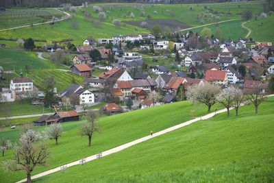Houses on grassy field by village against buildings