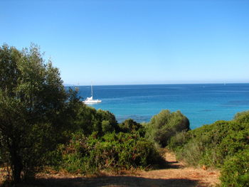 Scenic view of sea against clear blue sky