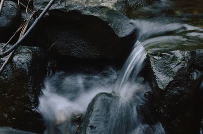 View of waterfall in forest