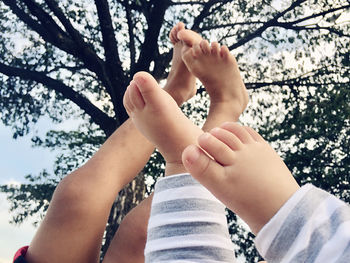 Close-up of woman hand on plant against trees