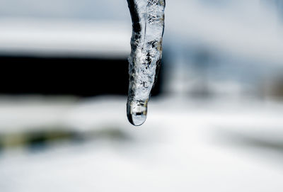 Close-up of ice crystals against blurred background
