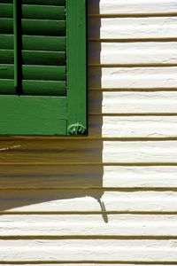 Close-up of window