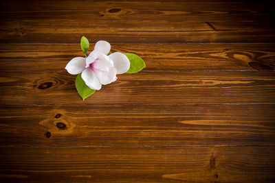 wood