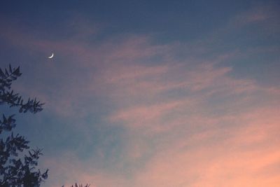 Low angle view of silhouette trees against sky during sunset