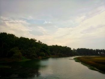 Scenic view of lake in forest against sky