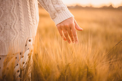 A hand of a girl walking in a wheat field at sunset. rural summer background
