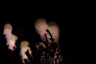 Close-up of silhouette moon at night